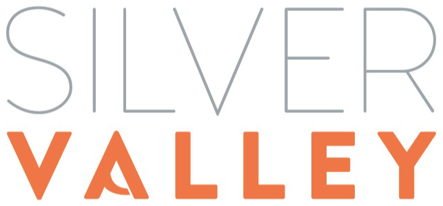 Logo de Silver Valley